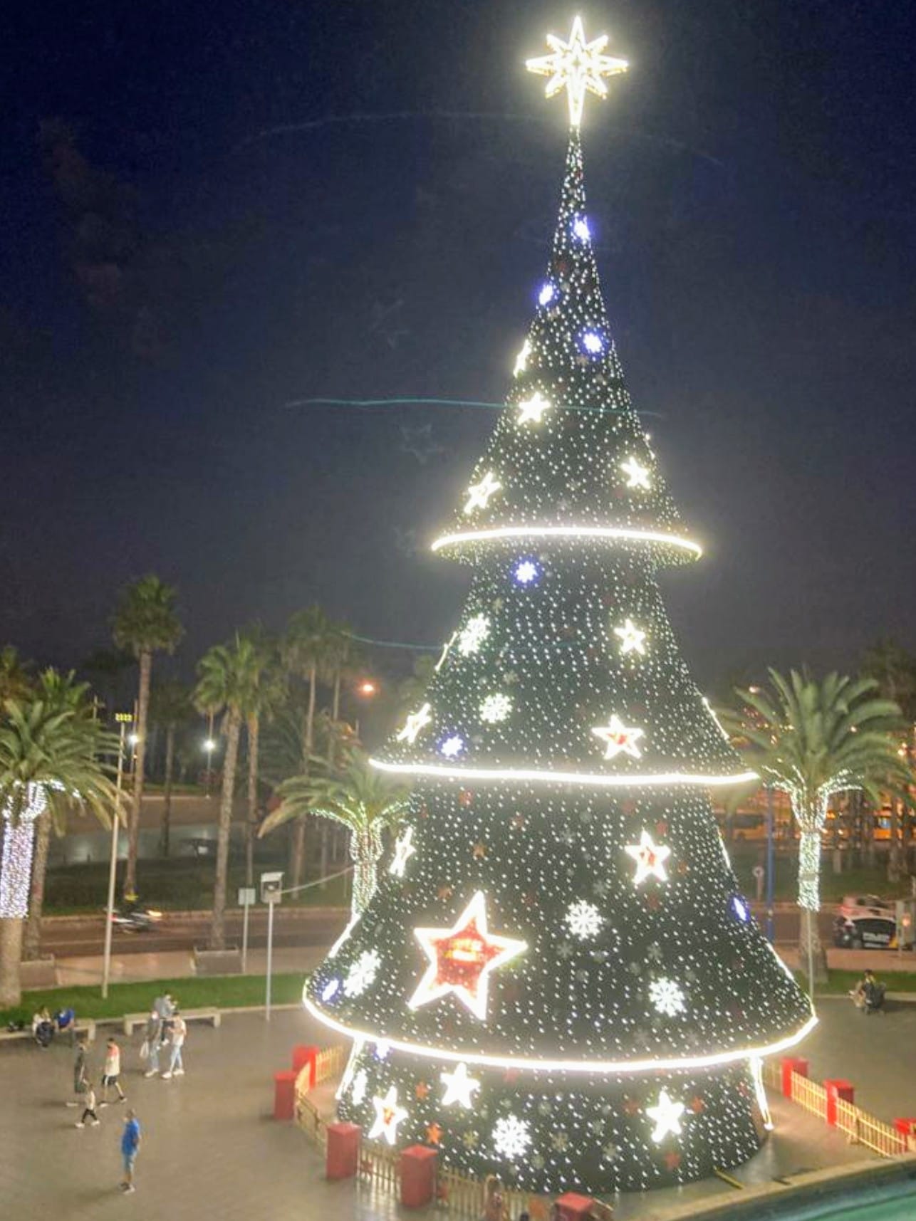 A Christmas tree at night, strung with lights.