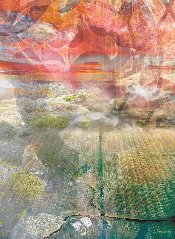 Aerial by Allison Inglesby, Digital Artwork printed on Acrylic