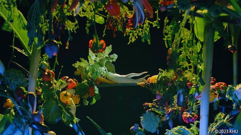 KA/SO by KHU, Video