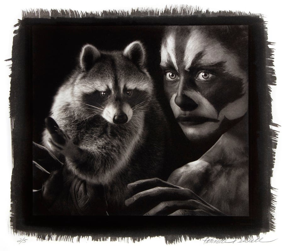 MASKED Raccoon 103 by Lennette Newell, Photograph