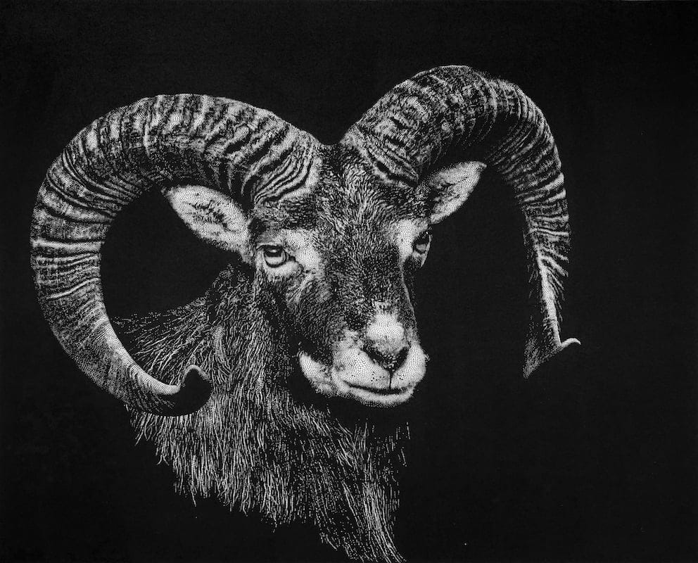 Widder by Marc Schweizer, Handcut paper