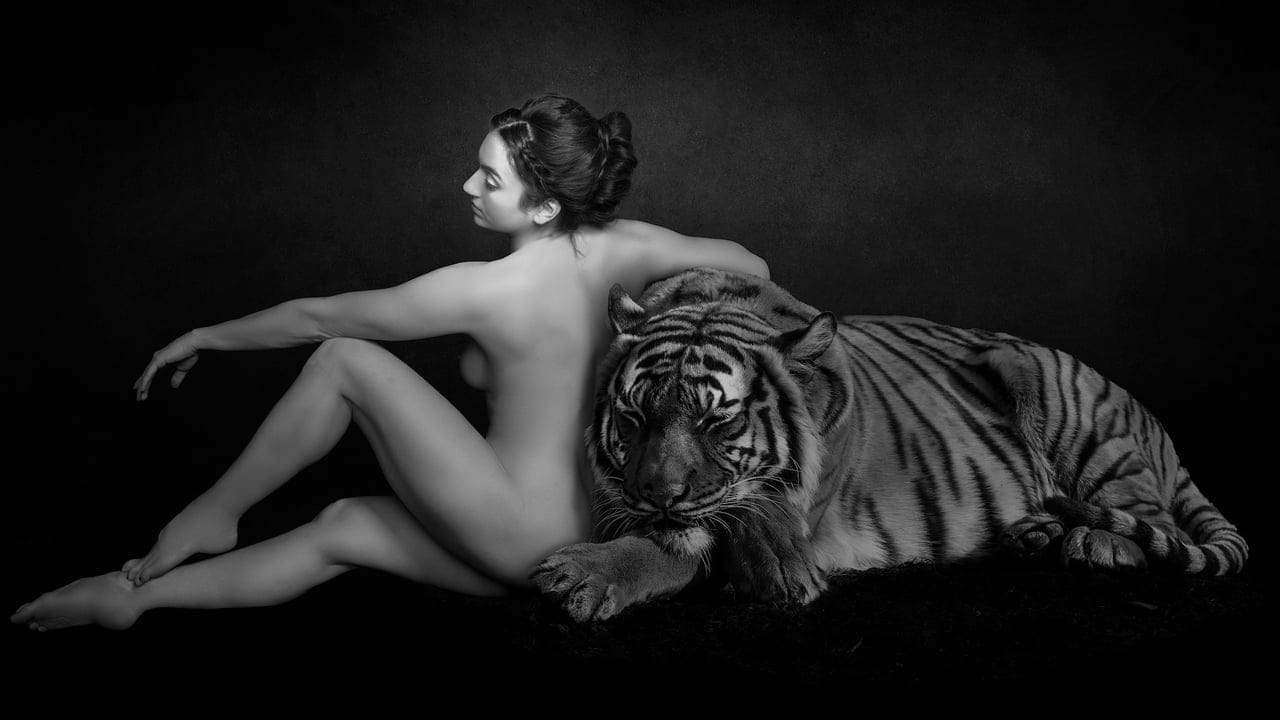 Circe Lady and Tiger by Paal Anand, Acrylic Encapsulated Carbon on Archival Cotton, 2024